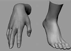 Image result for Head Hands and Feet