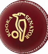 Image result for Free Cricket Designs