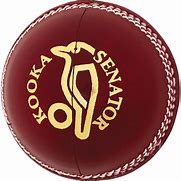 Image result for Cricket Cup Logo