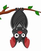 Image result for Bat Upside Down Tree