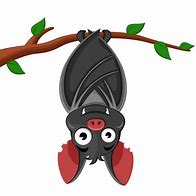 Image result for Cartoon Bat Upside Down