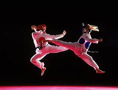 Image result for Best Martial Arts Fight Scenes