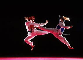 Image result for Tae Kwon Do vs Karate