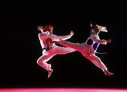 Image result for Self-Defense Martial Arts Styles