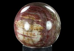 Image result for Petrified Wood Sphere