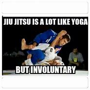 Image result for Brazilian Jiu Jitsu Memes