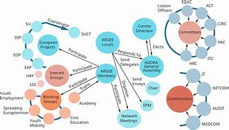 Image result for Network Org Structure