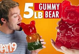 Image result for World Biggest Gummy Bear