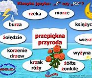 Image result for co_oznacza_Żółtki