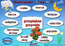 Image result for co_oznacza_Żabówko