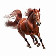 Image result for Horse Racing Pictire No Background
