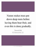 Image result for Stoic Quotes About Nature