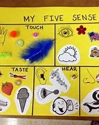 Image result for Preschool Board Ideas 5 Senses