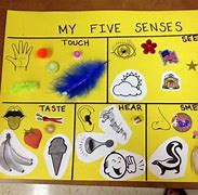 Image result for Five Senses Block Activities