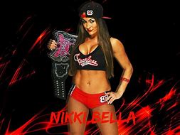 Image result for Nikki Bella Fan Page