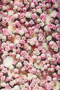 Image result for Aesthetic iPhone Pink Flower Wallpaper