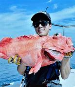 Image result for Biggest Catfish Ever Caught USA