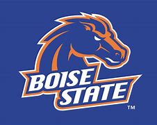 Image result for Boise State Logo Jersey Black