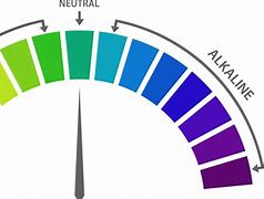 Image result for pH Scale PNG