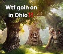 Image result for Only a Ohio Meme