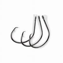 Image result for Circle Hooks for Freshwater Fishing