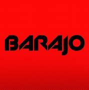 Image result for barajo