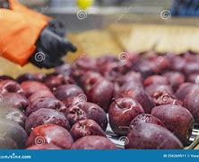 Image result for Apple Factory in USA