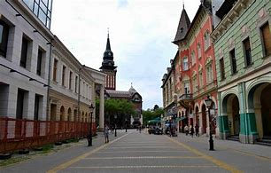 Image result for Svastara Subotica