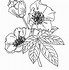 Image result for Flower Clip Art Outline