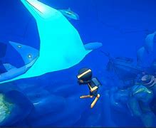 Image result for Scuba Steve Game