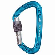 Image result for climb carabiners brand