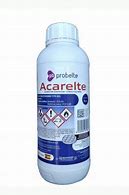 Image result for acatalecti