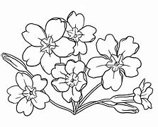 Image result for Free Printable Flower Patterns to Trace