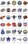 Image result for NHL Logos