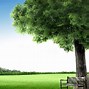 Image result for Tranquil Zoom Background Images