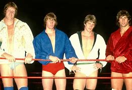 Image result for Von Erich 5 Brothers