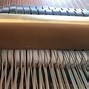 Image result for Piano Fingers Curved