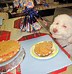 Image result for Crazy Happy Birthday Dog