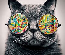 Image result for Trippy Cat Hi Res HD Wallpaper