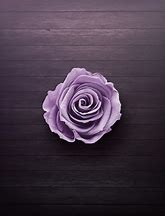 Image result for Purply Rose Color