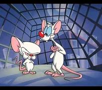 Image result for Pinky and the Brain Election Meme