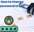 Image result for How to Change Password in Xampp