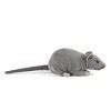 Image result for Rat Squeak