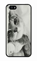 Image result for Kitten iPhone 5 Cases Images