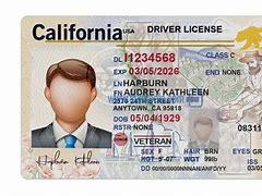 Image result for Free Editable California ID Templates