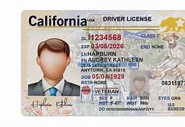 Image result for CA ID Card Template