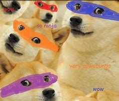 Image result for Ninja Doge