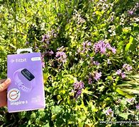 Image result for Fitbit Inspire 2 Charger