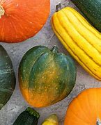 Image result for Types of Green Summer Squash