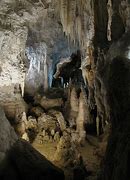 Image result for Dank Cave